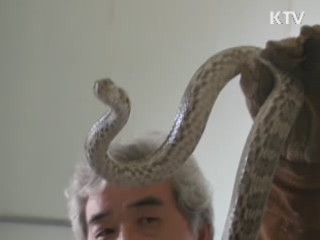 야생동물 불법 포획 기승