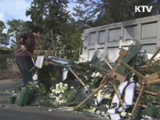 화환 불법재사용, 부산이 바꾼다