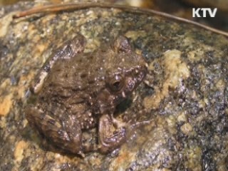 정책 오늘 (123회)