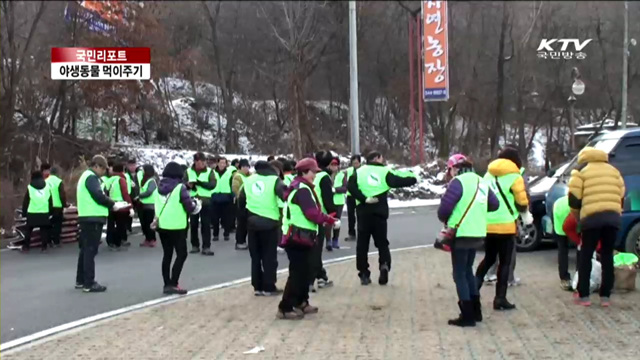 한파에 굶주린 야생동물 먹이주기 [국민리포트]