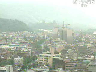 납세대상 71.3% 다주택 보유자