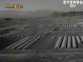 쉬지 않는 농촌('70) 이미지