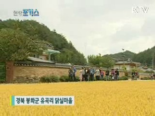 전통마을에서 1박2일