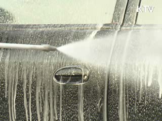 영양군도 구제역 발생…차단방역 강화