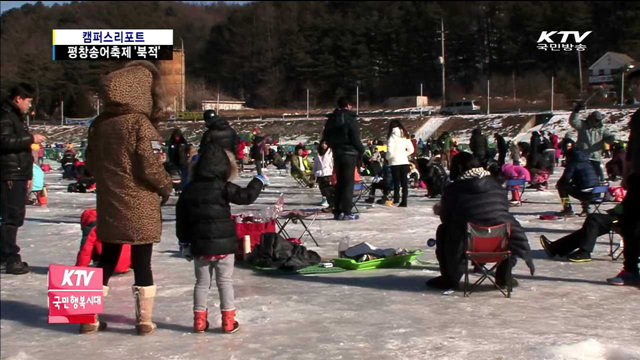 짜릿한 손맛, 2014 평창송어축제