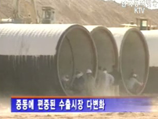 새로운 수출동력