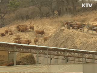 내년 FTA 지원 1조8천억원···역대 최대