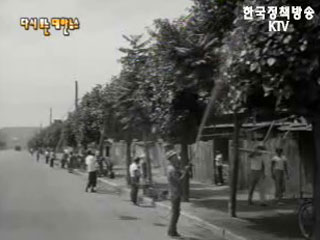 나무의 병충을 없애자(`62) 이미지