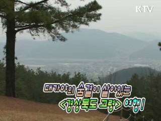 경상북도 고령