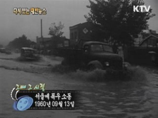 서울에 폭우 소동(60') 이미지