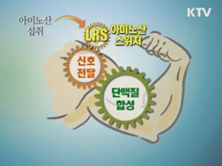 세계 최초 근육 만드는 '아미노산 스위치' 발견