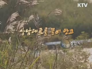 남대로를 끌어안고 흥 타령, 흥 장날 - 천안시