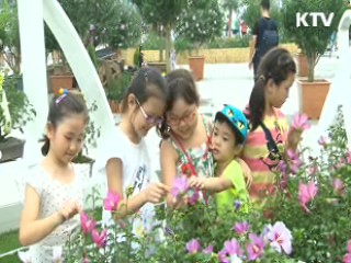 도심에서 즐기는 '나라꽃 무궁화 전국축제'