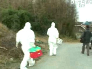 익산 AI, `중국에서 유입` 판명