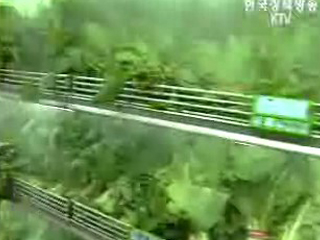 농림부 차관 `한미 FTA 세이프가드 요구`