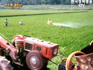 북악터널 기공(`70) 이미지