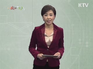 콘텍트렌즈 잘 알고 사용