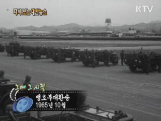 맹호 부대환송(65') 이미지
