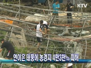 KTV NEWS 13 (124회)