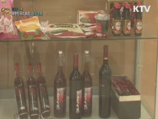 KTV 기획 대한민국의 희망, 창조경제 (10회)