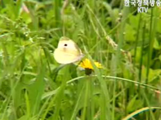 태고의 자연으로, 길동 생태공원