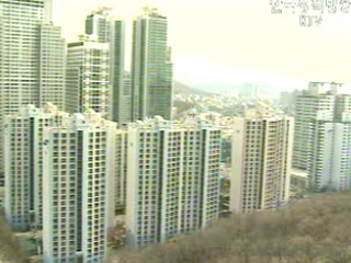 1.11대책 발표 이후 집값 안정세 뚜렷