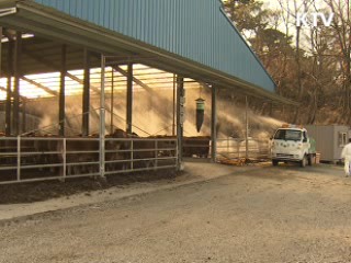 정부 "포항 한우 농가 구제역 아니다"