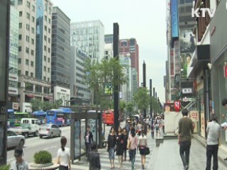 "중장기 조세정책, 소득세·부가세 인상 필요"