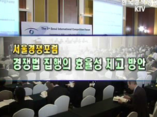 서울경쟁포럼 경쟁법 집행의 효율성 제고 방안