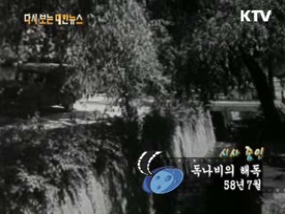 독나비의 해독(58') 이미지
