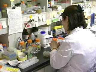 신종플루 고위험군 조기처방 당부