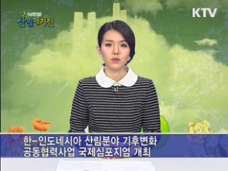 한-인도네시아 산림분야 기후변화 공동협력사업 국제심포지엄 개최