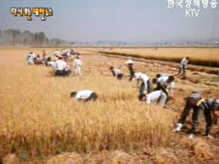 땀 흘린 보람을 함께(`80) 이미지