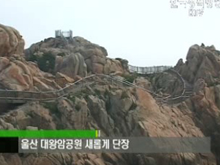 플러스 덤