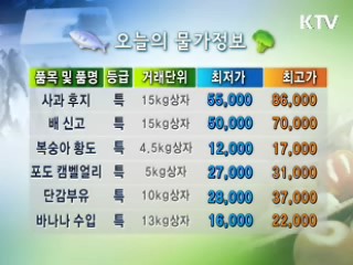 알뜰장보기 물가정보