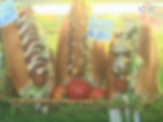 술·햄버거 등 건강증진 부담금 부과 추진