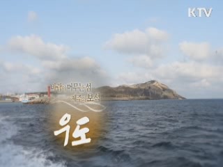 바람이 머무는 섬, 제주의 보석 - 우도