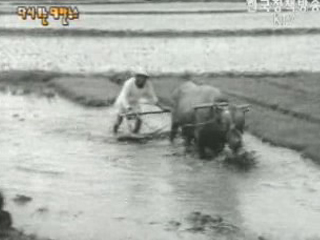 이화여자중고등학교 창립 70주년 기념식(`56) 이미지