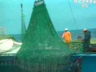 참조기 등 수산자원 회복 본격 추진