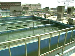 수돗물 안전성 문제 없다