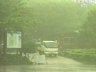 이 시각 태풍상황