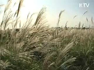 미국 공영방송 PBS, 한국 '녹색성장' 특집 방영