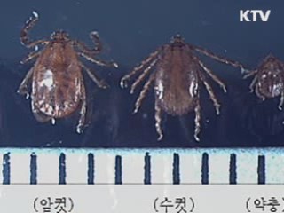 제주서 '살인 진드기' 의심환자 사망