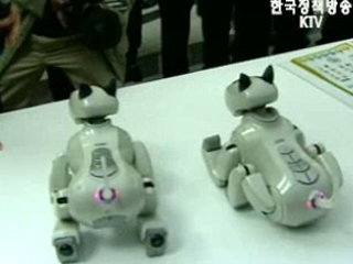 `국민로봇` 시범서비스 시작