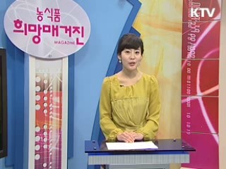 김연아 선수 한식홍보대사 위촉
