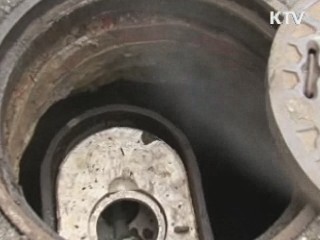 인천시, 한 겨울 '모기전쟁'