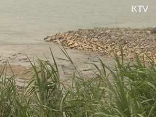 "영산강 살리기 사업 정당" 항소심 판결 