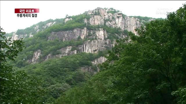 최고의 절경 무릉계곡…무더위 식혀요 [국민리포트]