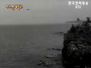 내 고장 내가 지킨다(`69) 이미지