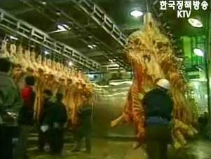 쇠고기 수출작업장 점검